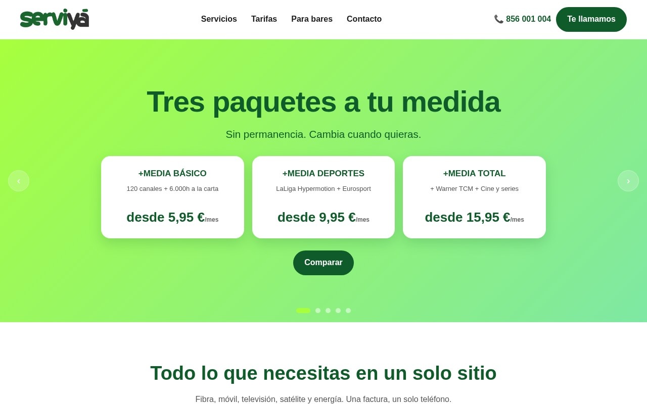 Captura de la web Serviyá